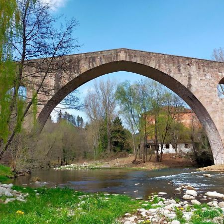 Can Planas Soleado, Amplio Con Vistas Y Parking Sant Joan de les Abadesses Bagian luar foto